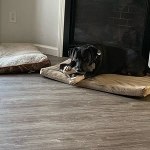 Meet your Posher, Dustan